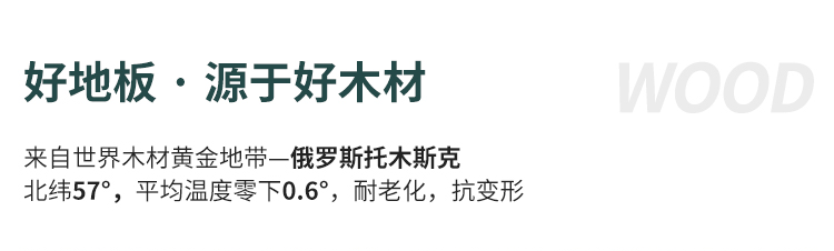 運(yùn)城室內(nèi)體育運(yùn)動木地板